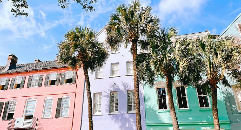 Colorful street buildings behind palm trees.