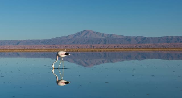 The Driest Desert in the World