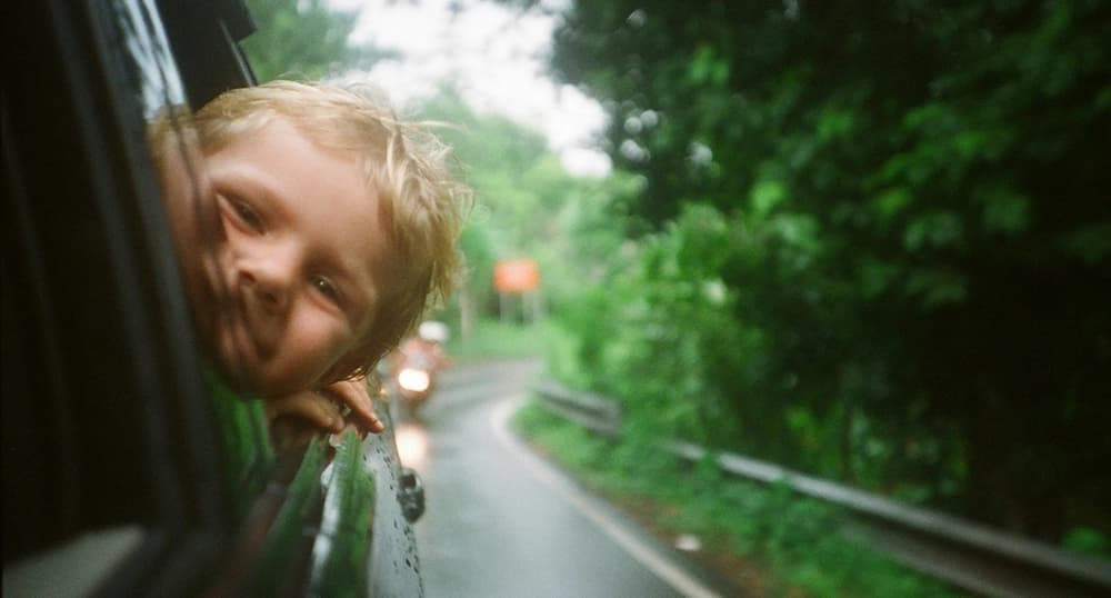 Little boy sticking his head out the car window.
