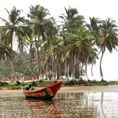 A boat floats in a lagoon, palm tress in background