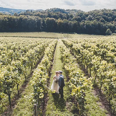 Couple getting married in a winery.