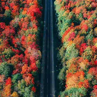 Road trip aerial view of fall leaves.