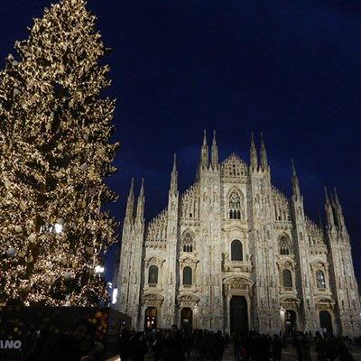 Piazza del Duomo and a giant Christmas tree.