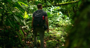 Man backpacks in lush jungle.