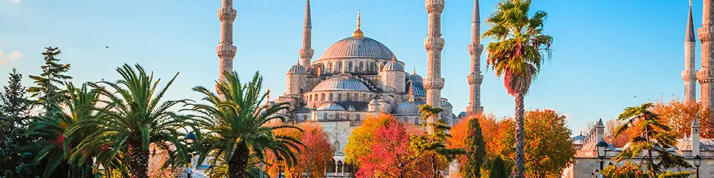 Bucket list trip: Istanbul.