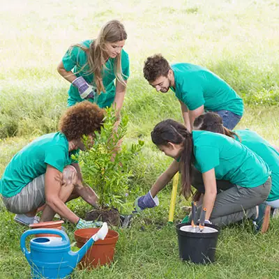 volunteer-group-planting-trees