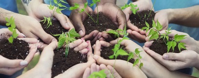 volunteers-planting-vegetables