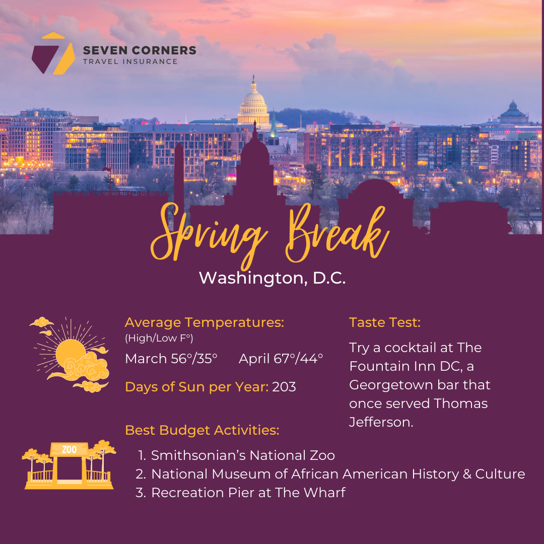 Washington, D.C. Spring Break Infographic