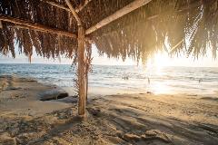 A-hut-is-framed-in-a-beach-scene