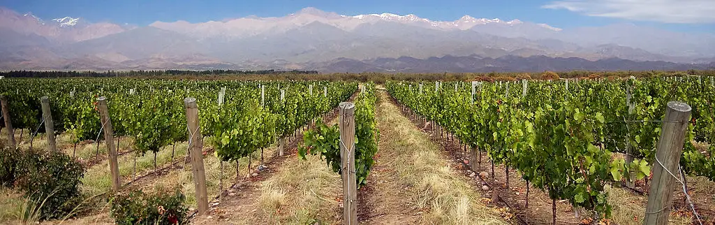 wine-bike-hike-mendoza-argentina
