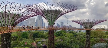 The-Supertree-Grove-in-Singapore