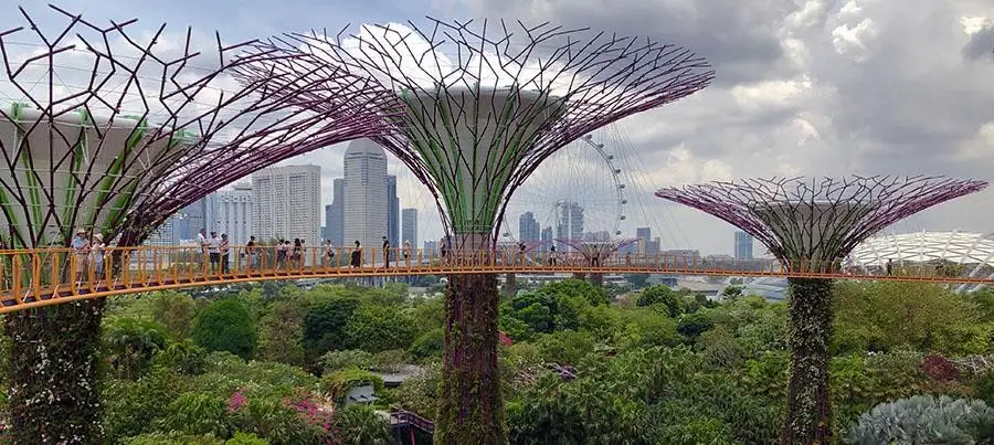 The-Supertree-Grove-in-Singapore