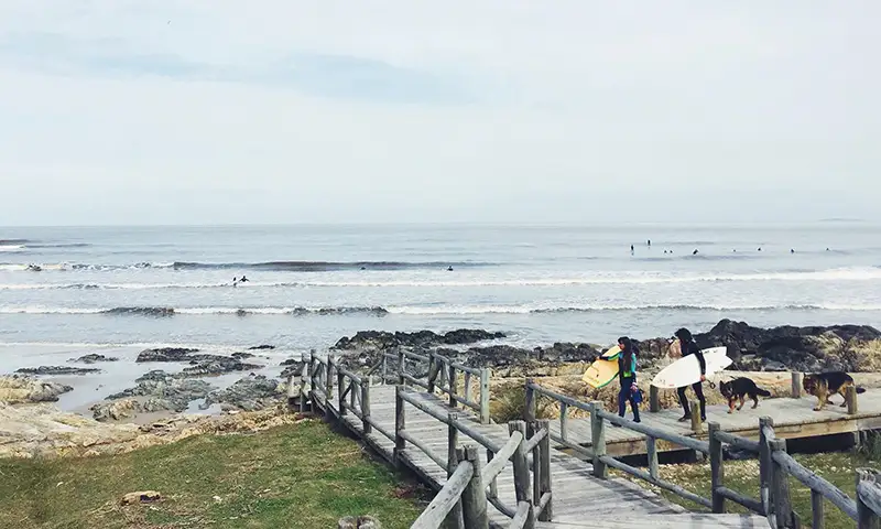 Surfers-walking-along-beach